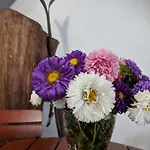 Pensjonat Postavarului Braszów
