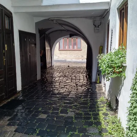 Gasthuis Postavarului 2*