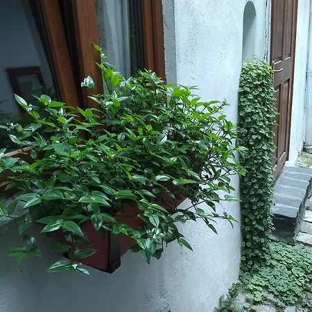 Postavarului Braşov