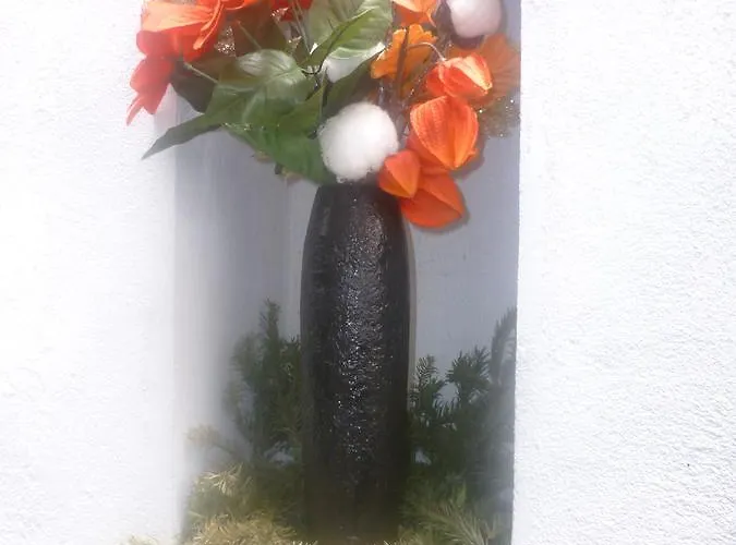 Postavarului Gasthuis 2*